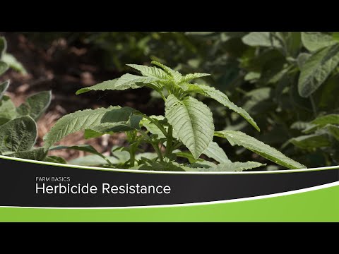 Herbicide Resistance