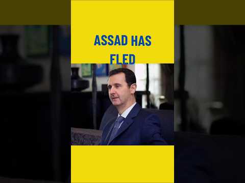 Assad has fled Damascus, Syrian rebels say they are in the capital. #damascus #syria #middleeast