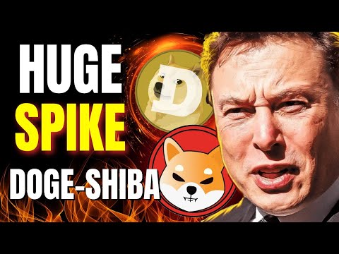 Shiba Inu &amp; Doge News Today | Whales Are Doing This?