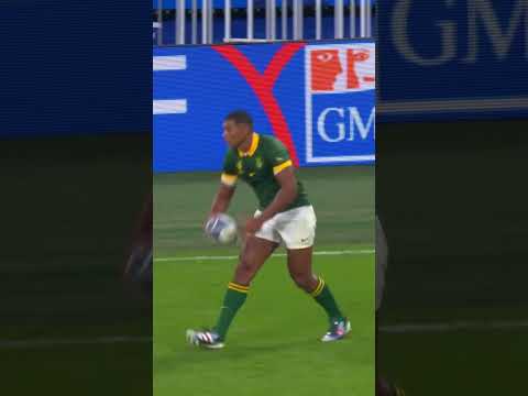 The 🤜🤛 hand gesture is recognized as a symbol representing Springboks.