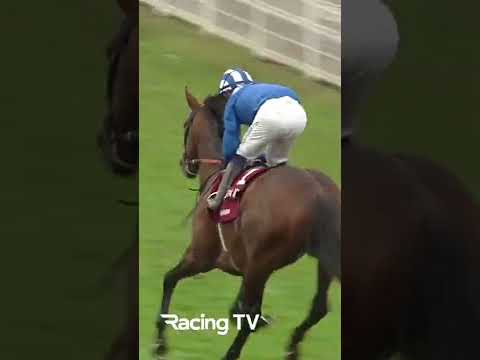 Baaeed doing what he does best 🏆#horseracing #baaeed #championsday