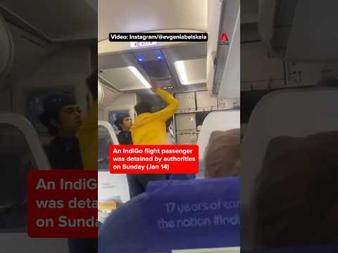 IndiGo passenger detained for attacking pilot over flight delay