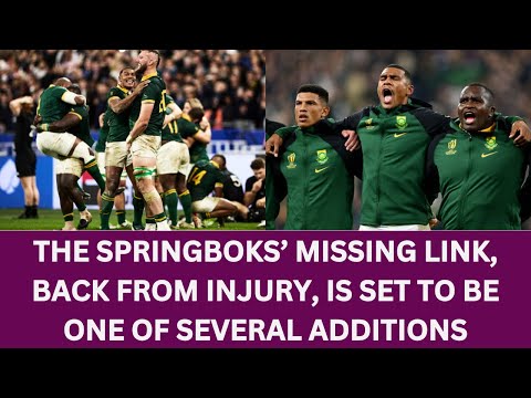 Springboks’ missing link, back from injury, is set to be one of several additions Rugby