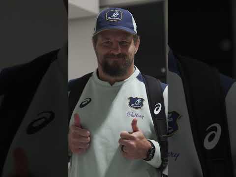 Wallabies arrive in London