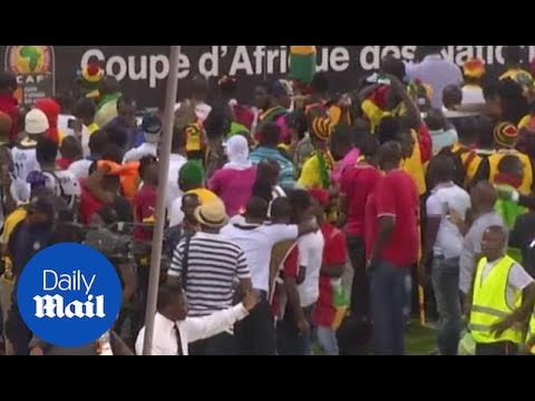 Footage of crowd trouble during Ghana vs Guinea AFCON semi-final - Daily Mail