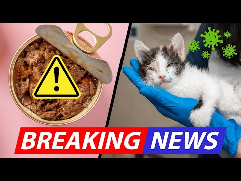 🚨 Cat Food Recall ALERT: Deadly Bird Flu Contamination?