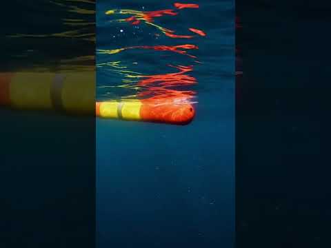 Meet our fleet 🌊⁠⁠🤖 #robotics #deepsea #oceantech #hightech #oceanlife #autonomousrobot #rov