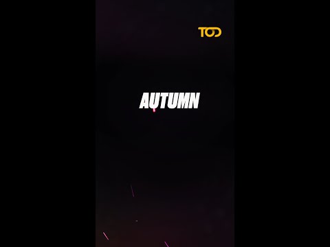 Autumn Nations Series 2024: The Ultimate Rugby Showdown #OnTOD